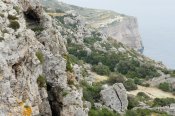 Falaises de Dingli