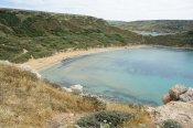 Ghajn Tuffieha Bay