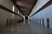 H&ocirc;pital des chevaliers