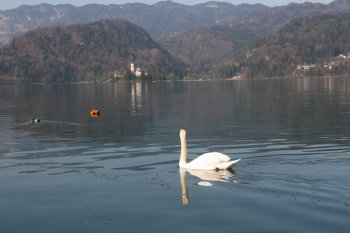 Lac de Bled