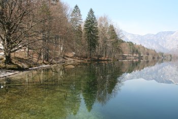 Lac de Bohinj