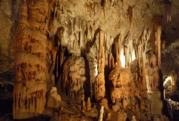 Grotte de Postojna