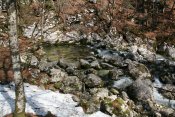 Rivi&egrave;re Savica