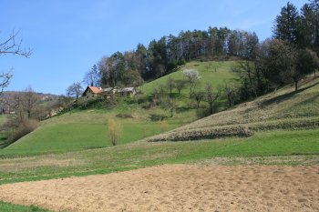 Terme Dobrna